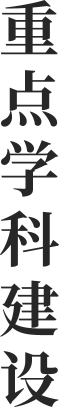 重點(diǎn)學(xué)科建設(shè)
