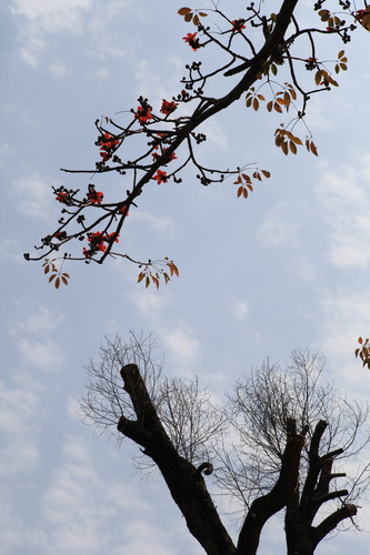 我校2014年教職工書畫攝影比賽作品展（一）