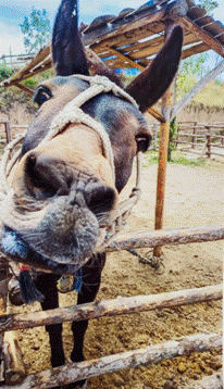 QQ截圖20201028090447