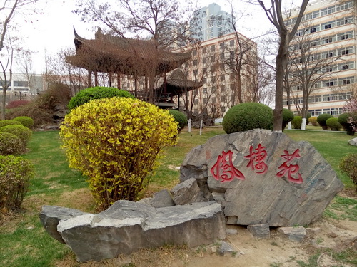 春色滿園關不住