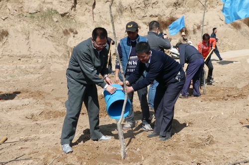共植雙聯愛心樹 共添東鄉一片綠