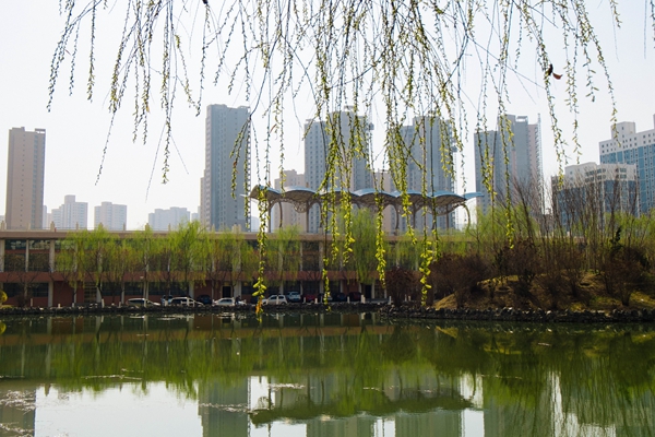 春滿工大關不住