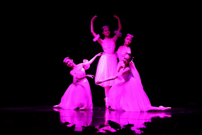 “高雅藝術進校園”——中央芭蕾舞團舞動蘭州理工大學