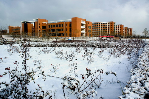 2008冬季校園初雪（新校區）