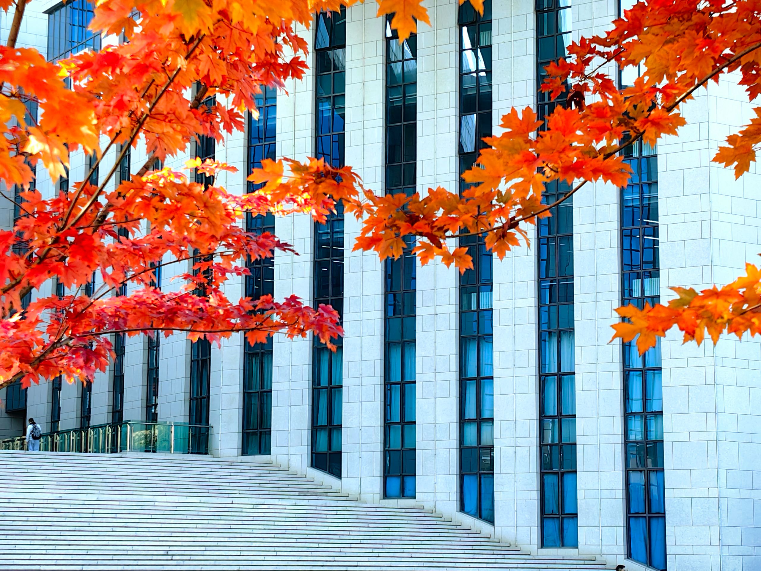 邂逅，在蘭理工的醉美深秋