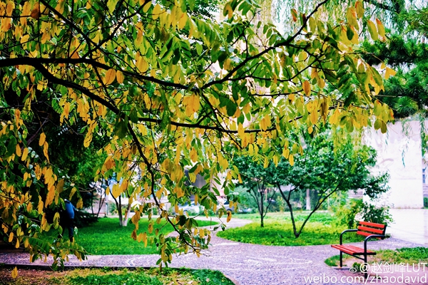 秋來工大風(fēng)景美